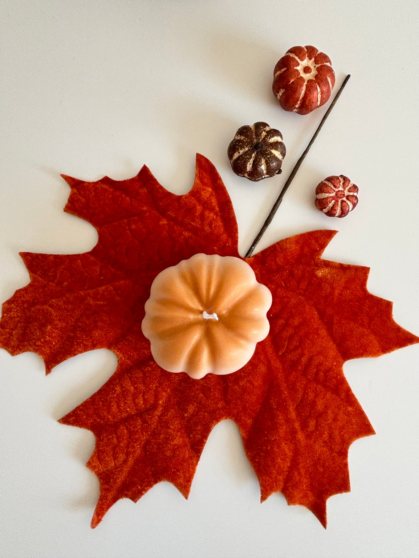 Petite citrouille 🎃