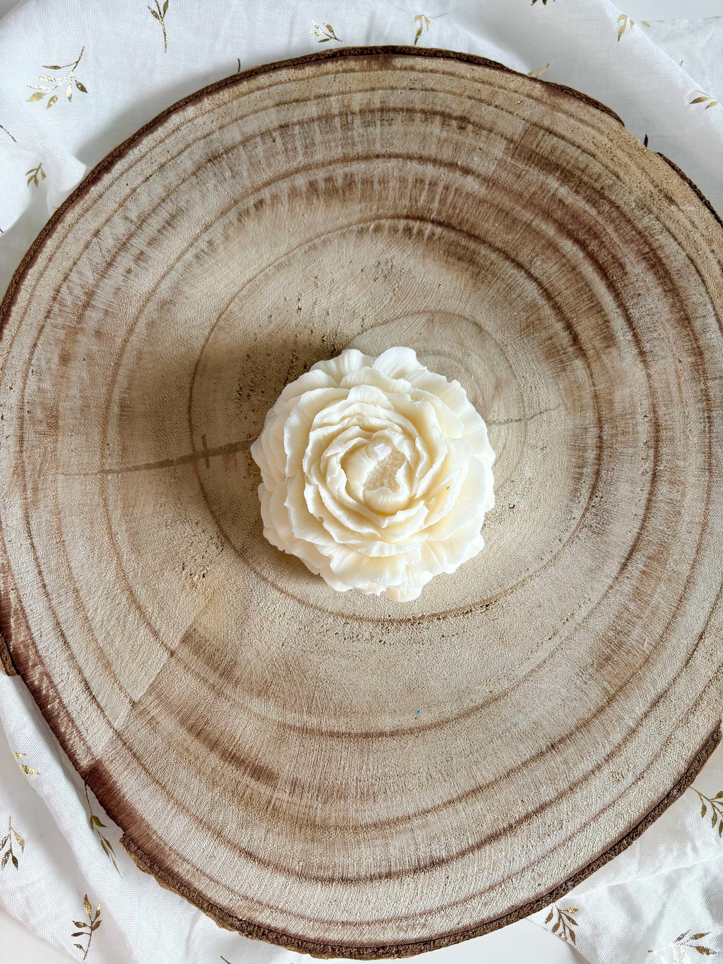 Pivoine décorative